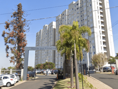 monte pinheiros (1)