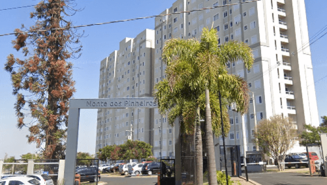monte pinheiros (1)